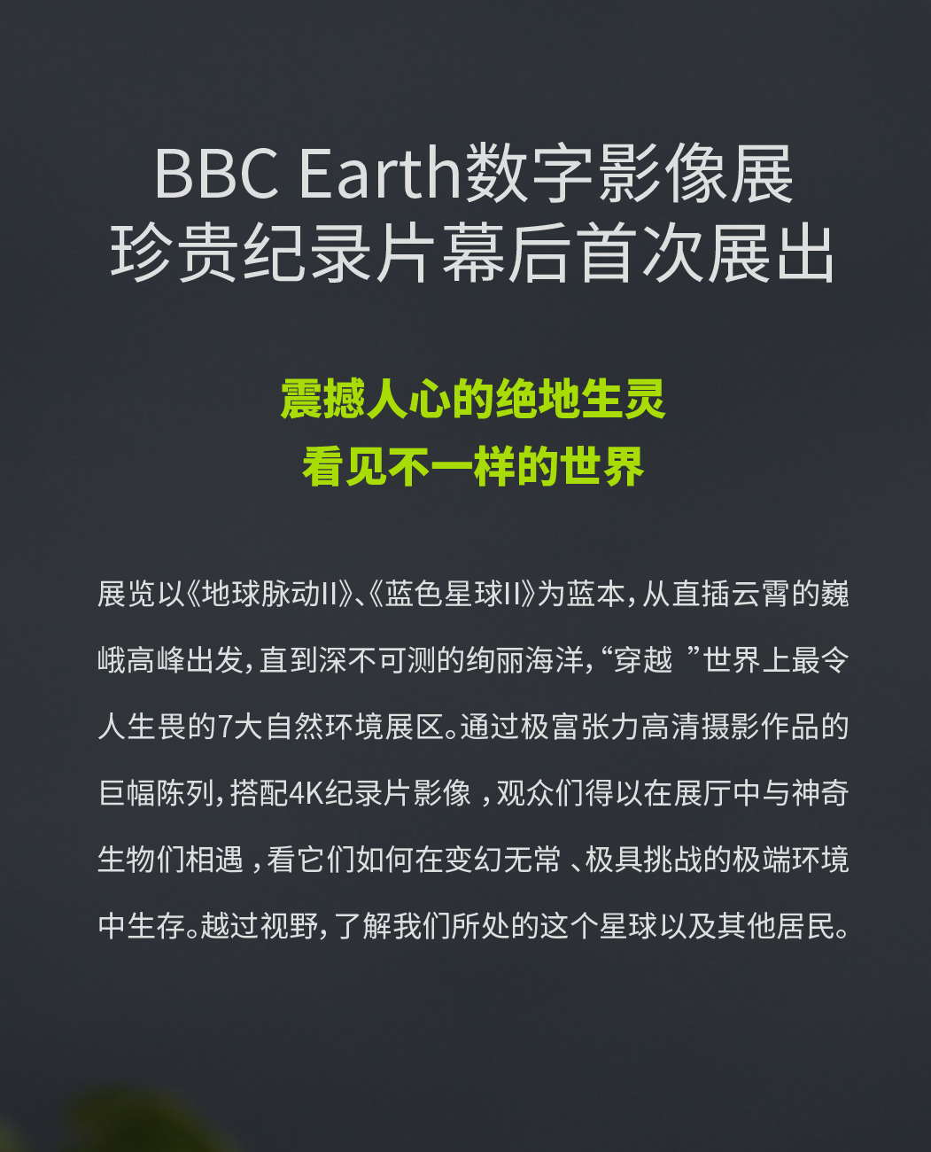 英国BBC EARTH 极地生灵数字影像大展